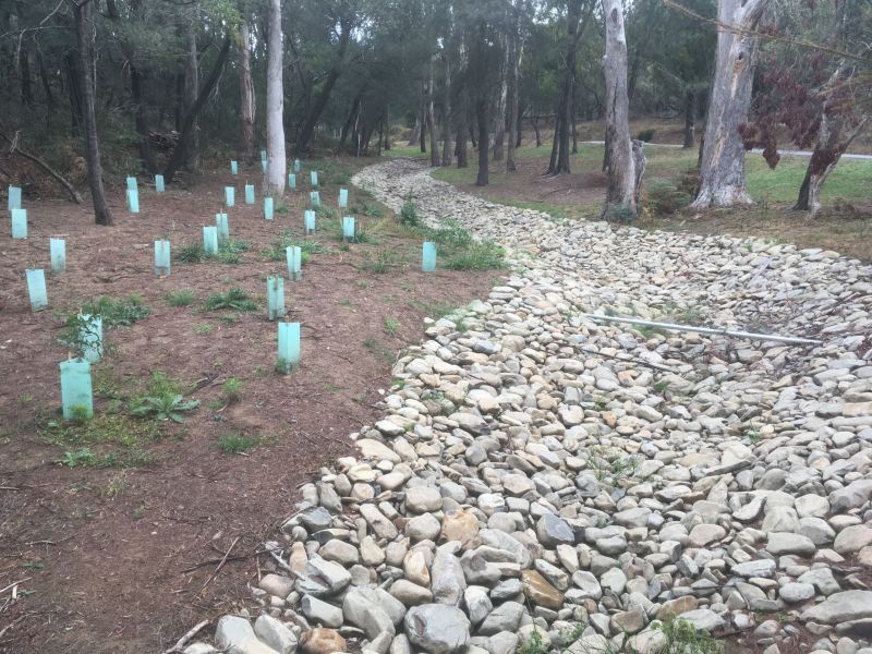 Punchbowl after new plantings