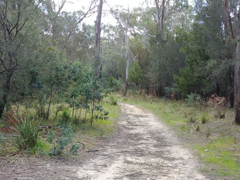 Carr Villa Flora Reserve path