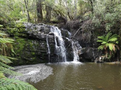 Picture of the Lilydale Falls